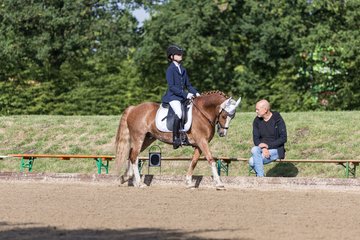 Bild 318 - Pony Akademie Turnier